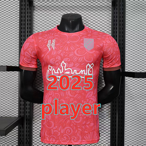Palestine Training Player Version Jersey S-2XL