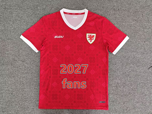 Wales Home Fans Version Jersey S-4XL