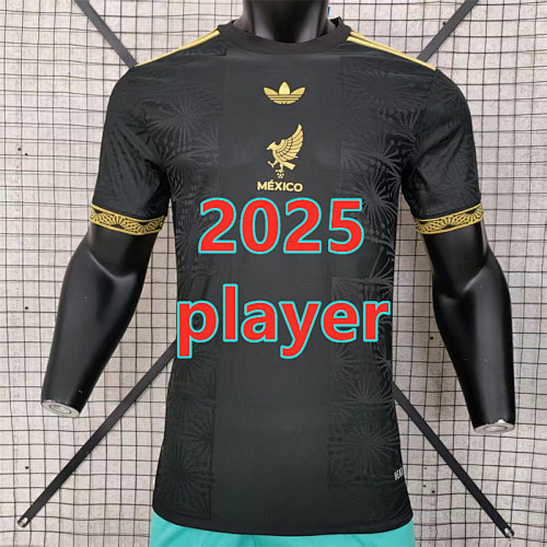 Mexico Special Player Version Jersey S-2XL