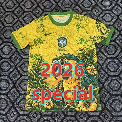 Brazil Special Fans Version Jersey S-2XL