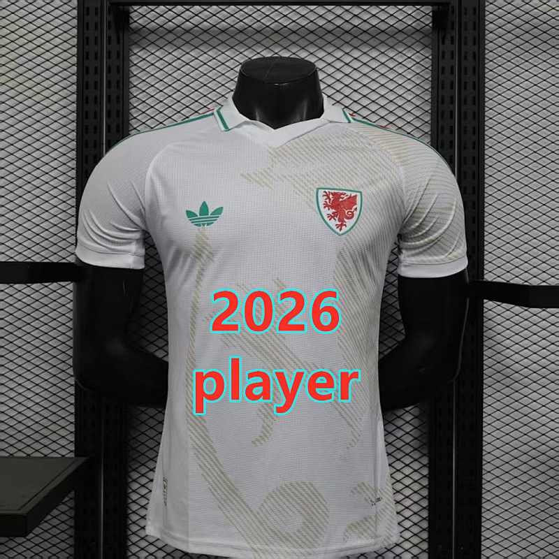 Wales Away Player Version Jersey S-4XL