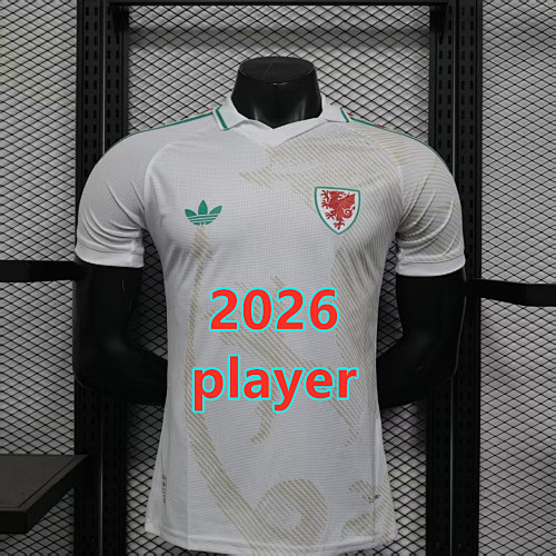 Wales Away Player Version Jersey S-4XL