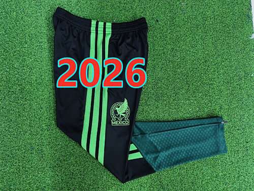 Mexico Player Version Pants S-2XL