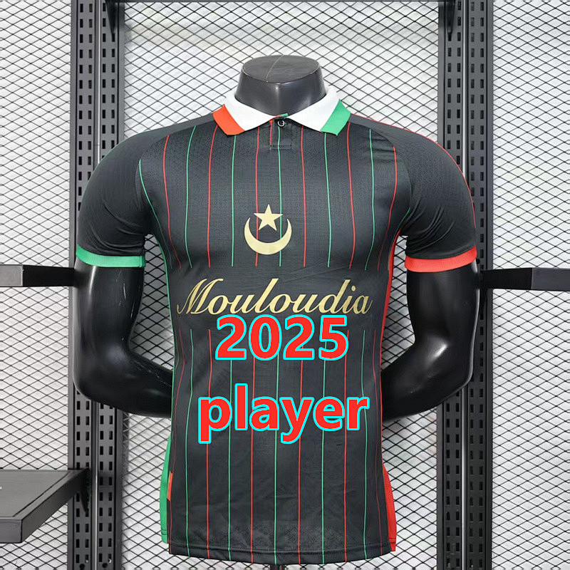 Palestine Training Player Version Jersey S-2XL