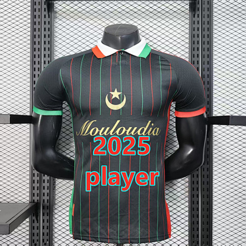 Palestine Training Player Version Jersey S-2XL