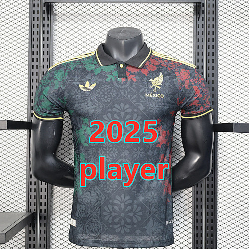 Mexico Special Player Version Jersey S-2XL
