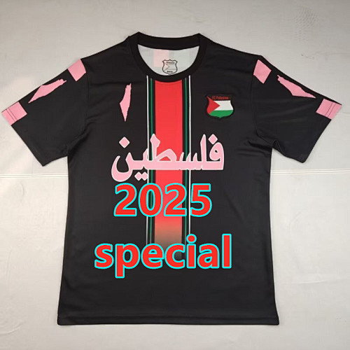 Palestine Special Fans Version Jersey S-4XL