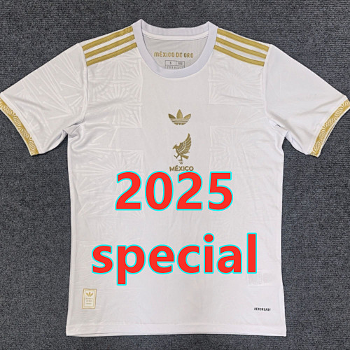 Mexico Special Fans Version Jersey S-2XL