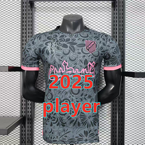 Palestine Training Player Version Jersey S-2XL