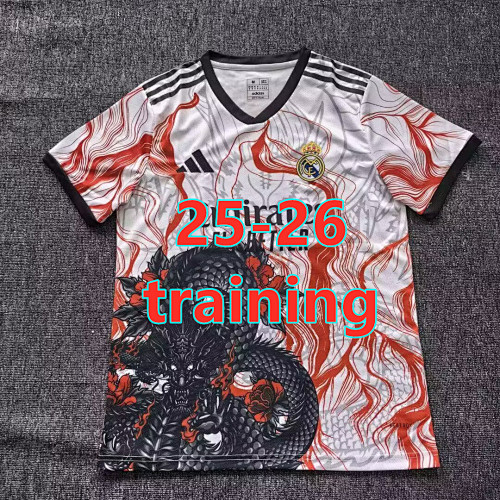 25-26 Real Madrid Training Fans Version Jersey S-2XL