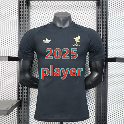 Mexico Special Player Jersey S-2XL
