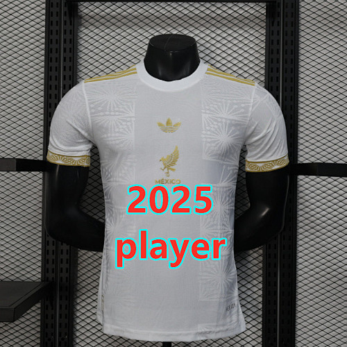 Mexico Special Player Jersey S-2XL