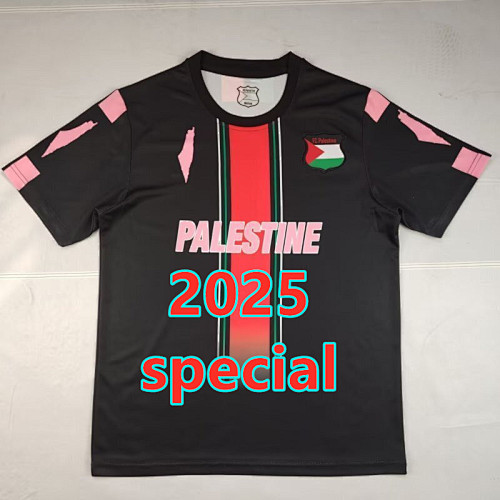 Palestine Special Fans Version Jersey S-4XL