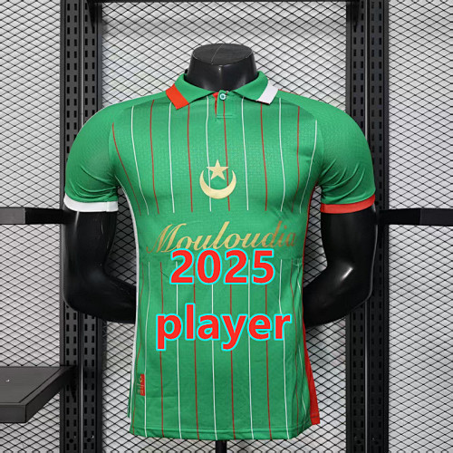 Palestine Training Player Version Jersey S-2XL