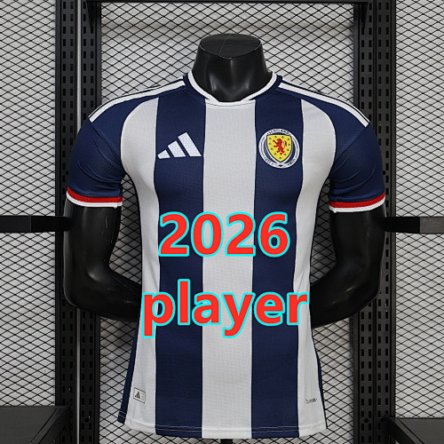 Wales Special Player Version Jersey S-2XL
