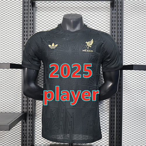 Mexico Special Player Version Jersey S-2XL