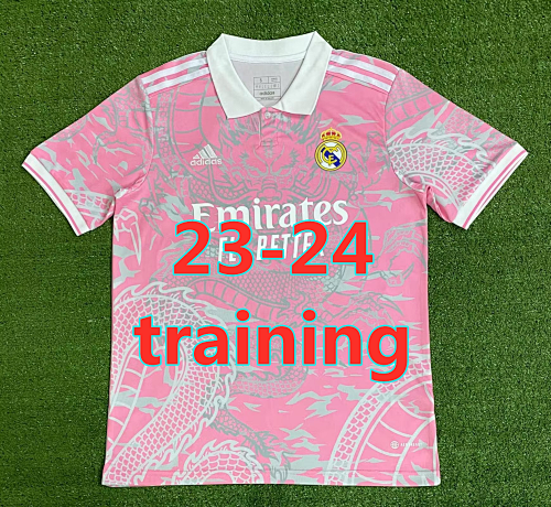 Real Madrid Fans Version 23-24 Training Jersey S-2XL