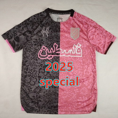 Palestine Special Fans Version Jersey S-4XL