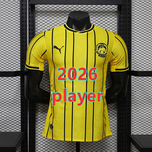 Malaysia Home Player Version Jersey S-2XL