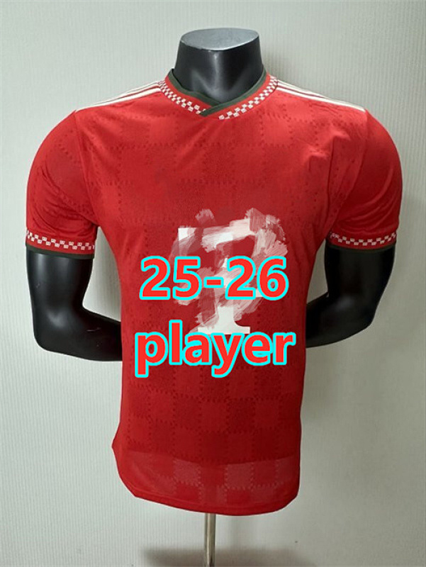 25-26 Bayern Special Player Version Jersey S-2XL