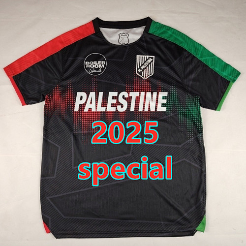 Palestine Special Fans Version Jersey S-4XL