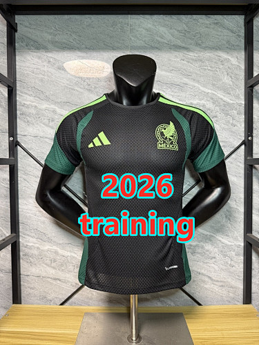Mexico Training Player Version Jersey S-2XL