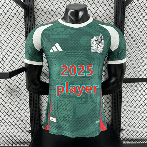 Mexico Special Player Version Jersey S-2XL