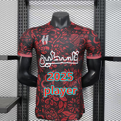 Palestine Training Player Version Jersey S-2XL