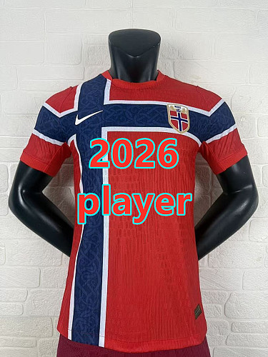 Norway Home Player 8 Teams Jersey S-4XL 8