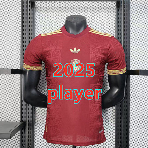 Mexico Special Player Version Jersey S-2XL