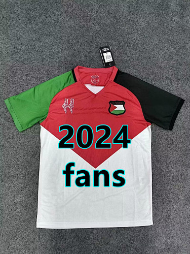 Palestine Special Fans Version Jersey S-2XL