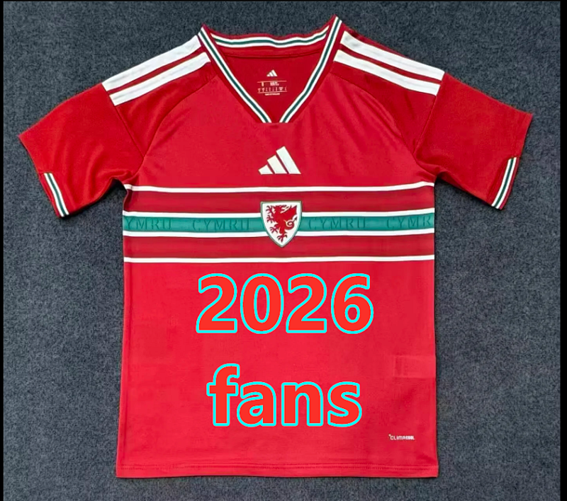 Wales Home Fans Version Jersey S-4XL