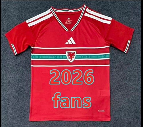Wales Home Fans Version Jersey S-4XL