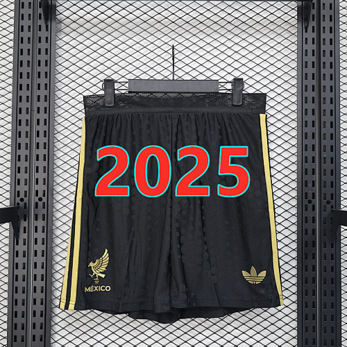 Mexico Home Player Version Shorts S-2XL