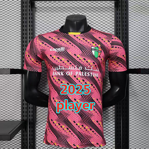 Palestine Special Player Version Jersey S-2XL