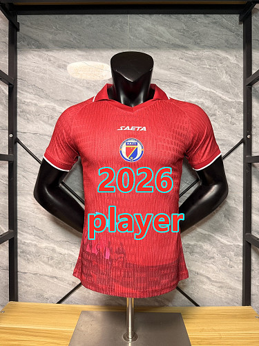 Haïti Third Player Version Jersey S-4XL