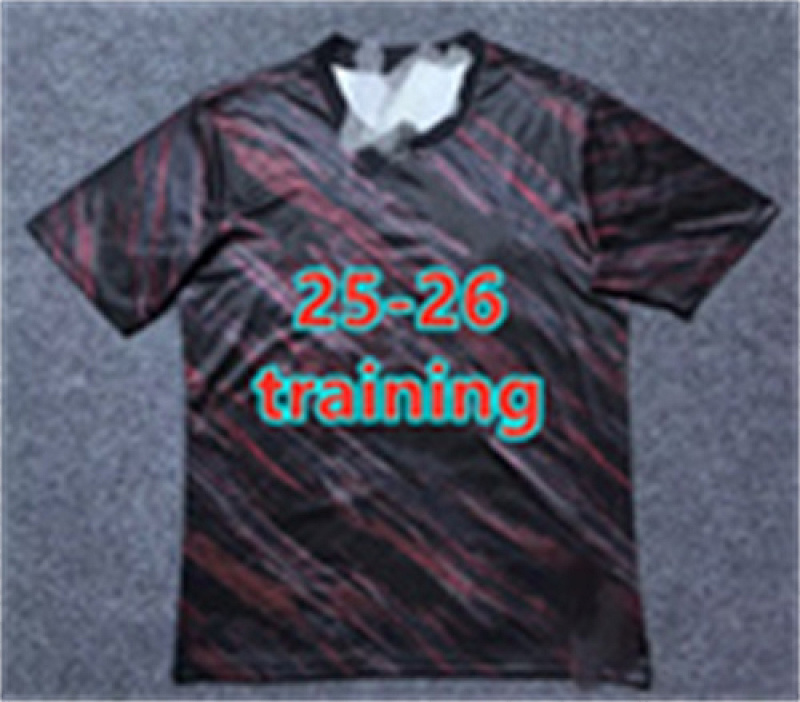 25-26 Bayern Training Fans Version Jersey S-2XL