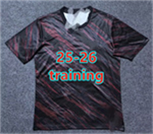 25-26 Bayern Training Fans Version Jersey S-2XL