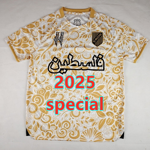 Palestine Special Fans Version Jersey S-4XL