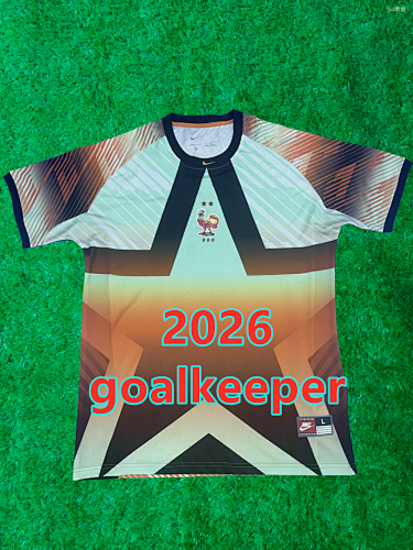 France Goalkeeper Fans Version Jersey S-4XL