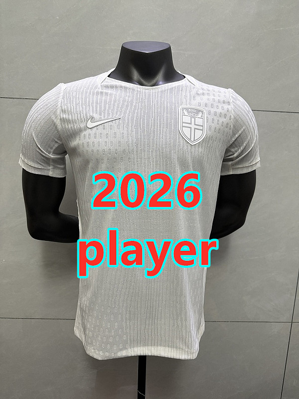 Norway Special Player Version Jersey S-2XL