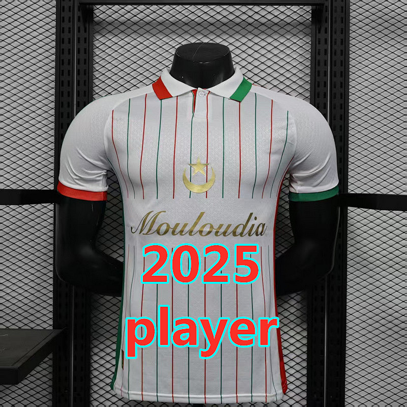 Palestine Training Player Version Jersey S-2XL
