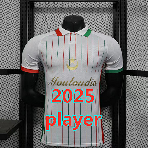Palestine Training Player Version Jersey S-2XL