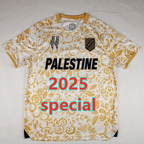 Palestine Special Fans Version Jersey S-4XL