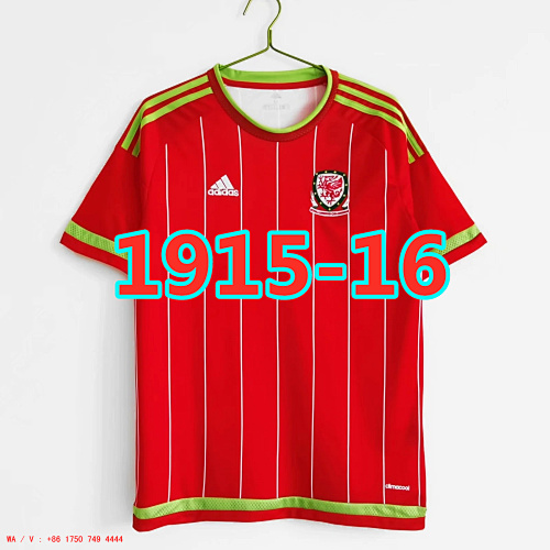 Wales TopThai Quality Retro Home Jersey S-2XL