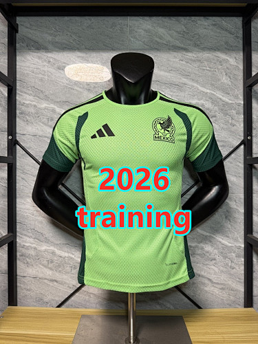 Mexico Training Player Version Jersey S-2XL