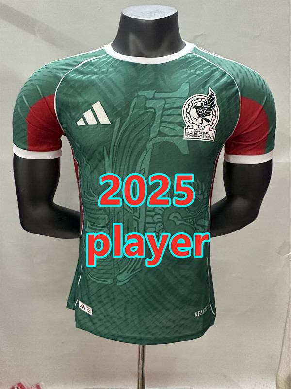 Mexico Special Player Version Jersey S-2XL