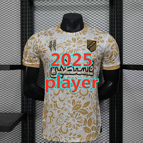 Palestine Training Player Version Jersey S-2XL