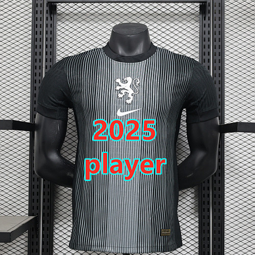 Netherlands Goalkeeper Player Version Jersey S-2XL