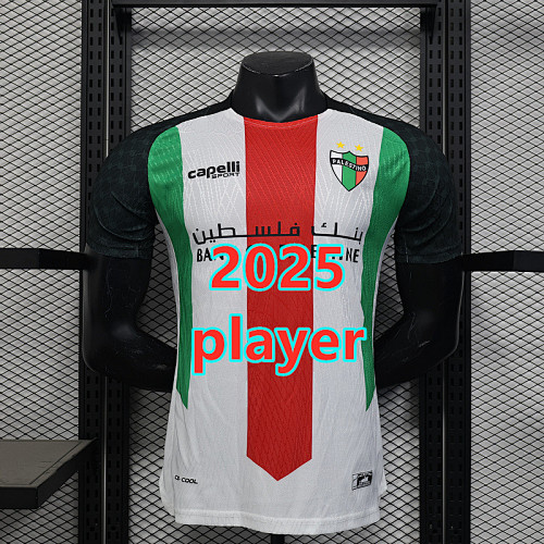 Palestine Home Player Version Jersey S-2XL